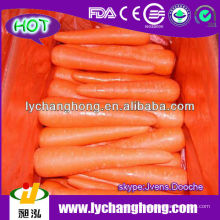 Свежая морковь 80-150 г S / M
